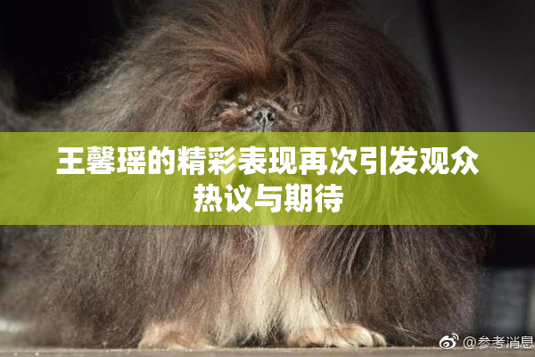 王馨瑶的精彩表现再次引发观众热议与期待