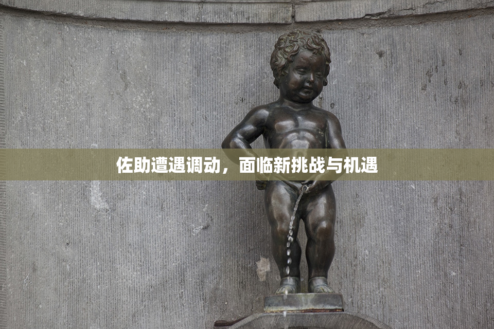 佐助遭遇调动，面临新挑战与机遇