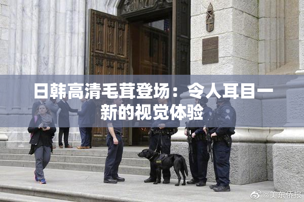 日韩高清毛茸登场：令人耳目一新的视觉体验