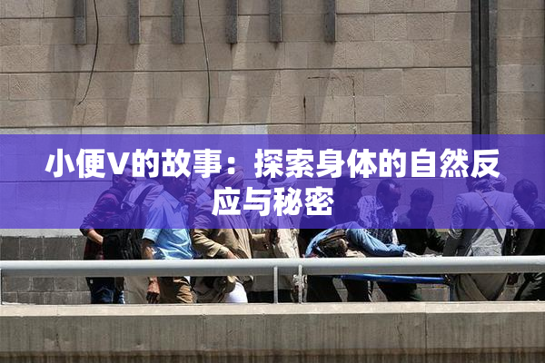 小便V的故事：探索身体的自然反应与秘密