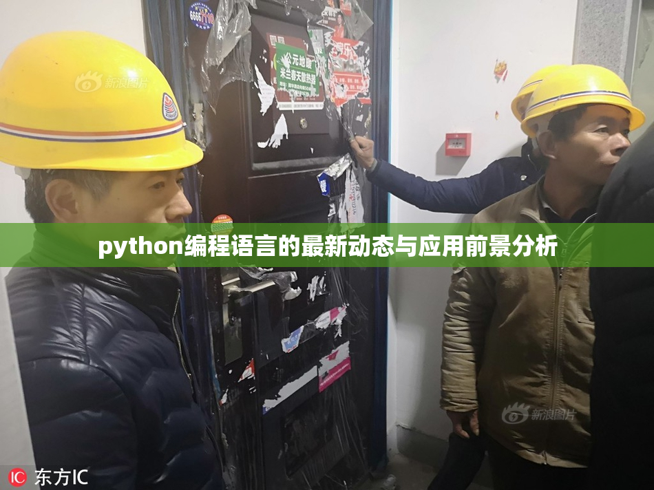 python编程语言的最新动态与应用前景分析