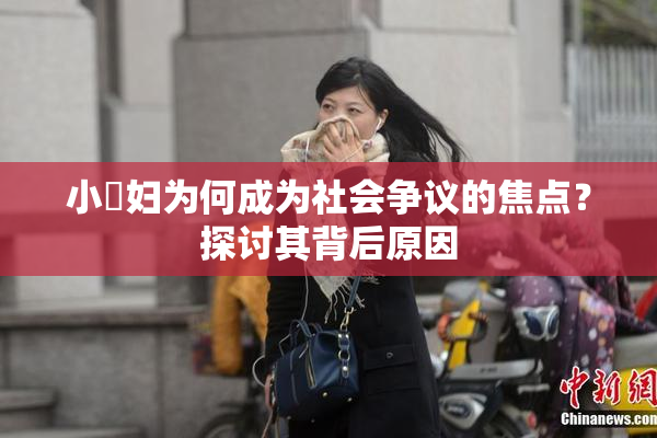 小婬妇为何成为社会争议的焦点？探讨其背后原因