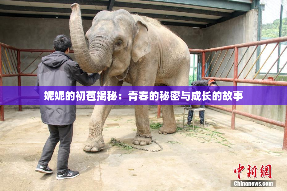 妮妮的初苞揭秘：青春的秘密与成长的故事