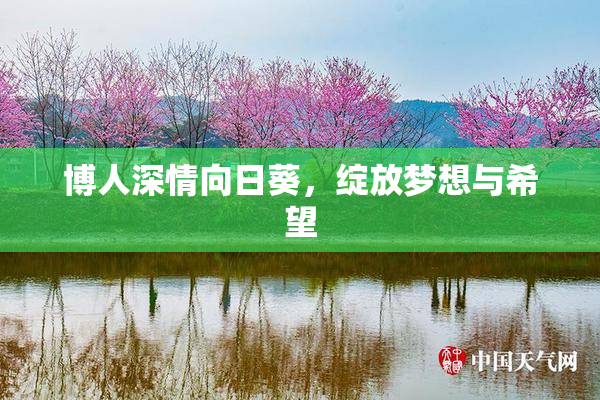 博人深情向日葵，绽放梦想与希望