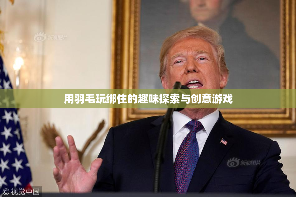 用羽毛玩绑住的趣味探索与创意游戏