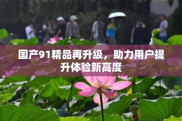 国产91精品再升级，助力用户提升体验新高度