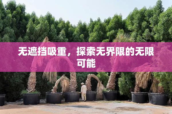 无遮挡吸重，探索无界限的无限可能