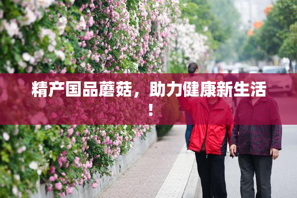 精产国品蘑菇，助力健康新生活！