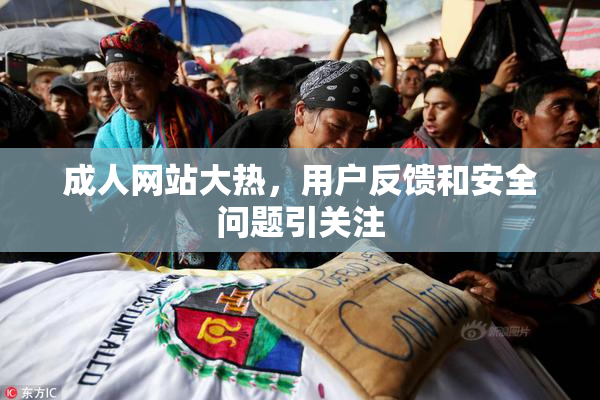 成人网站大热，用户反馈和安全问题引关注