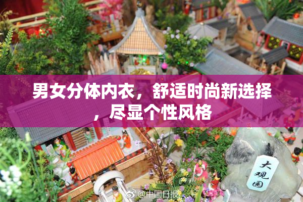 男女分体内衣，舒适时尚新选择，尽显个性风格