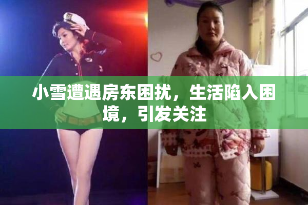 小雪遭遇房东困扰，生活陷入困境，引发关注