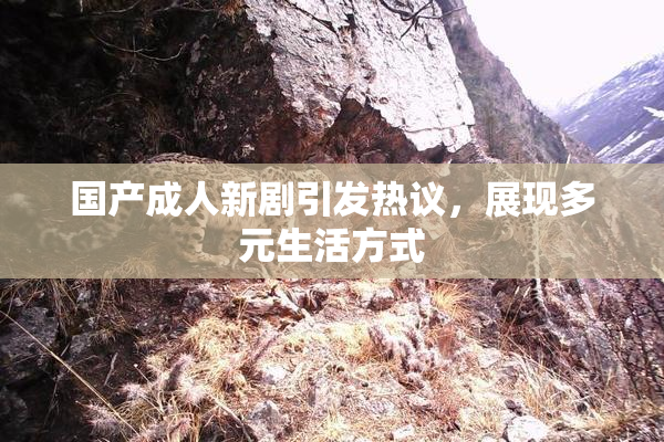 国产成人新剧引发热议，展现多元生活方式