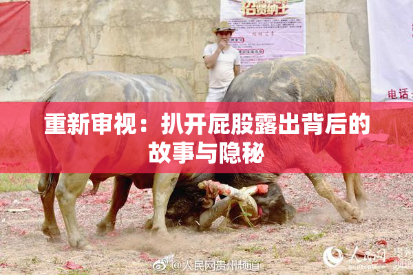 重新审视：扒开屁股露出背后的故事与隐秘