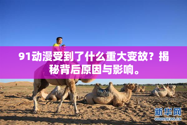 91动漫受到了什么重大变故？揭秘背后原因与影响。