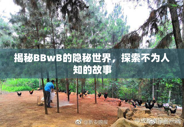 揭秘BBwB的隐秘世界，探索不为人知的故事