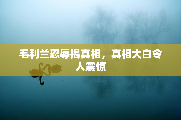 毛利兰忍辱揭真相，真相大白令人震惊