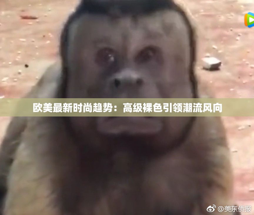 欧美最新时尚趋势：高级裸色引领潮流风向