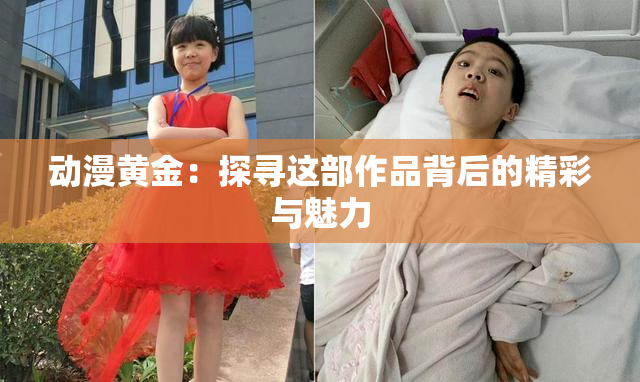 动漫黄金：探寻这部作品背后的精彩与魅力