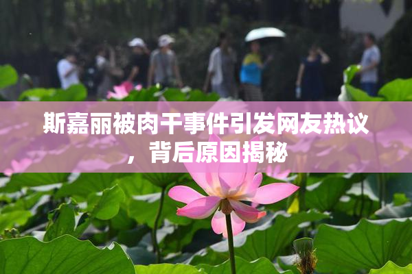 斯嘉丽被肉干事件引发网友热议，背后原因揭秘