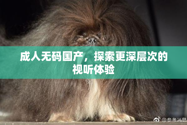 成人无码国产，探索更深层次的视听体验