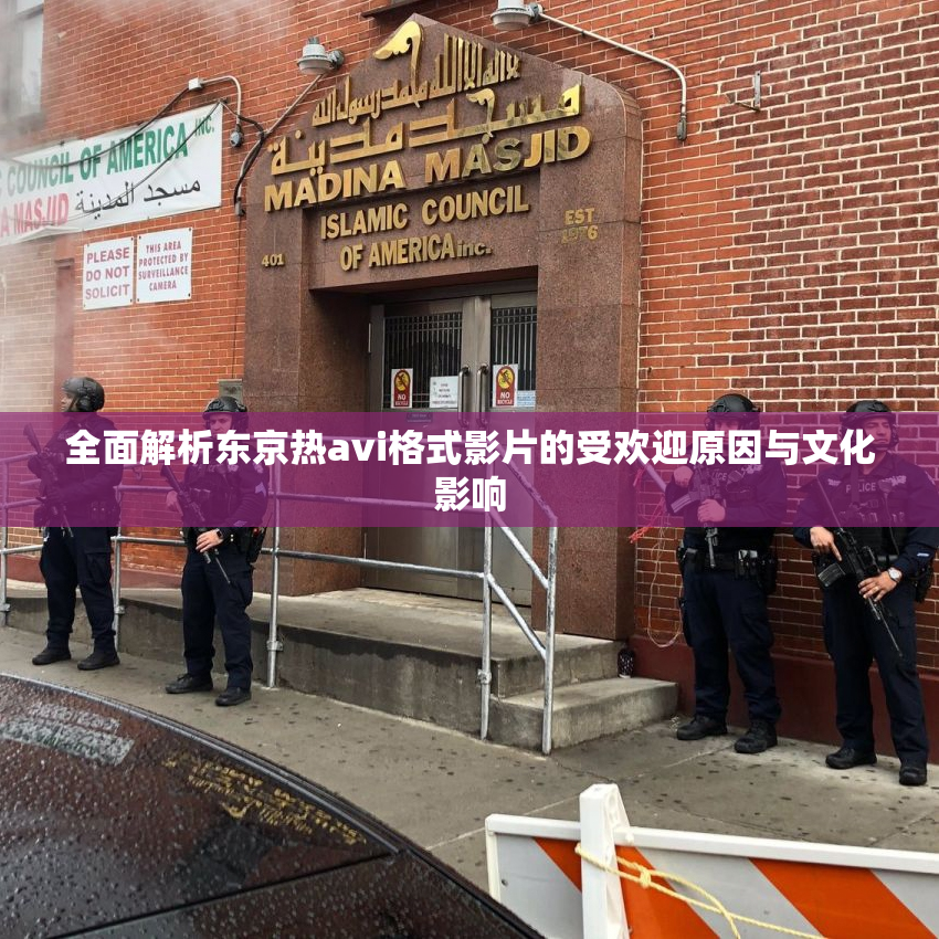 全面解析东京热avi格式影片的受欢迎原因与文化影响