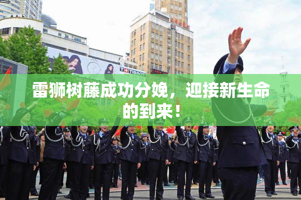 雷狮树藤成功分娩，迎接新生命的到来！