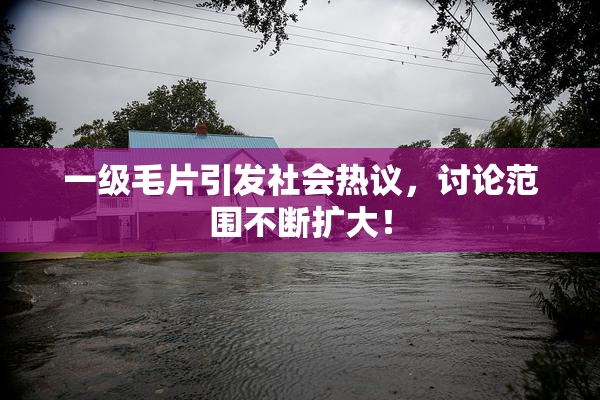 一级毛片引发社会热议，讨论范围不断扩大！