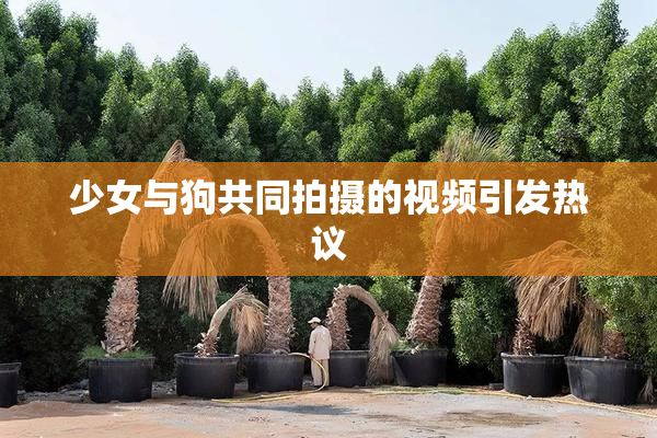 少女与狗共同拍摄的视频引发热议