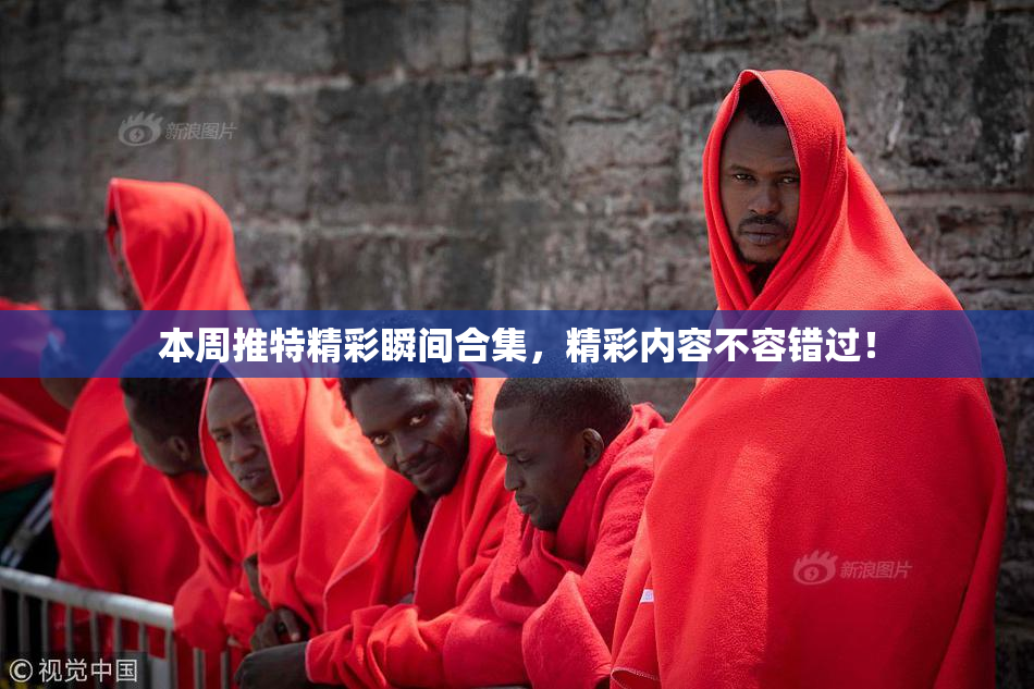 本周推特精彩瞬间合集，精彩内容不容错过！