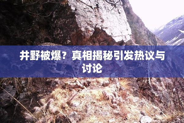 井野被爆？真相揭秘引发热议与讨论