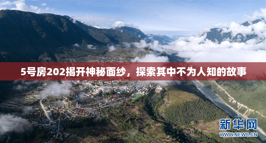 5号房202揭开神秘面纱，探索其中不为人知的故事