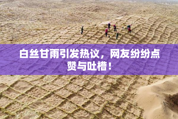 白丝甘雨引发热议，网友纷纷点赞与吐槽！