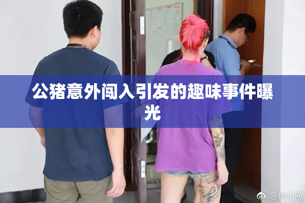 公猪意外闯入引发的趣味事件曝光