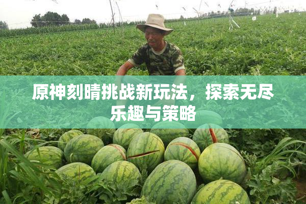 原神刻晴挑战新玩法，探索无尽乐趣与策略