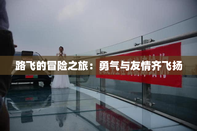 路飞的冒险之旅：勇气与友情齐飞扬