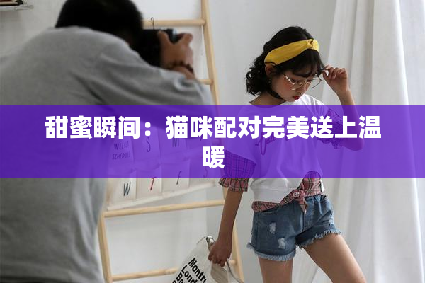甜蜜瞬间：猫咪配对完美送上温暖
