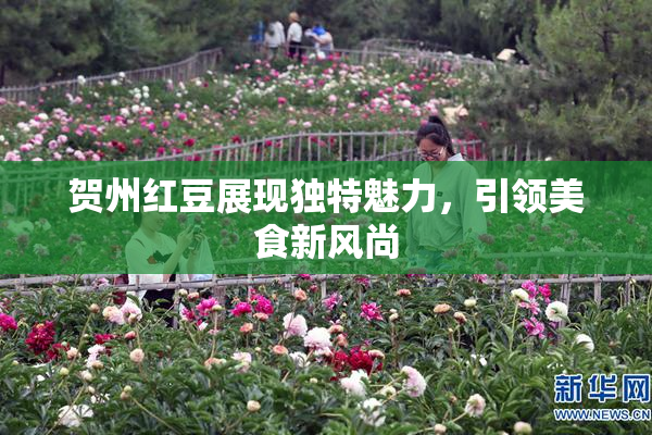 贺州红豆展现独特魅力，引领美食新风尚