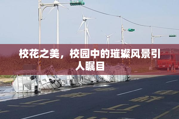 校花之美，校园中的璀璨风景引人瞩目