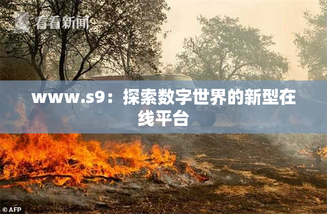 www.s9：探索数字世界的新型在线平台
