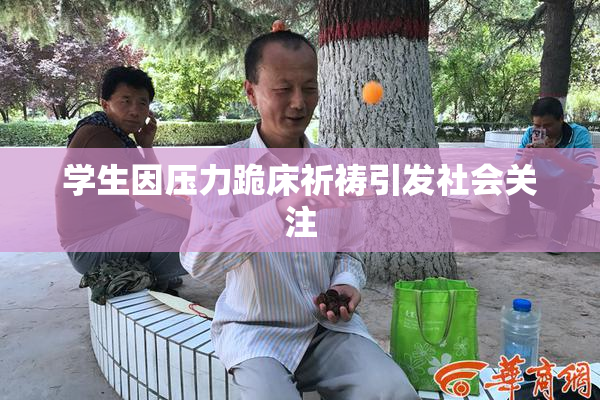 学生因压力跪床祈祷引发社会关注