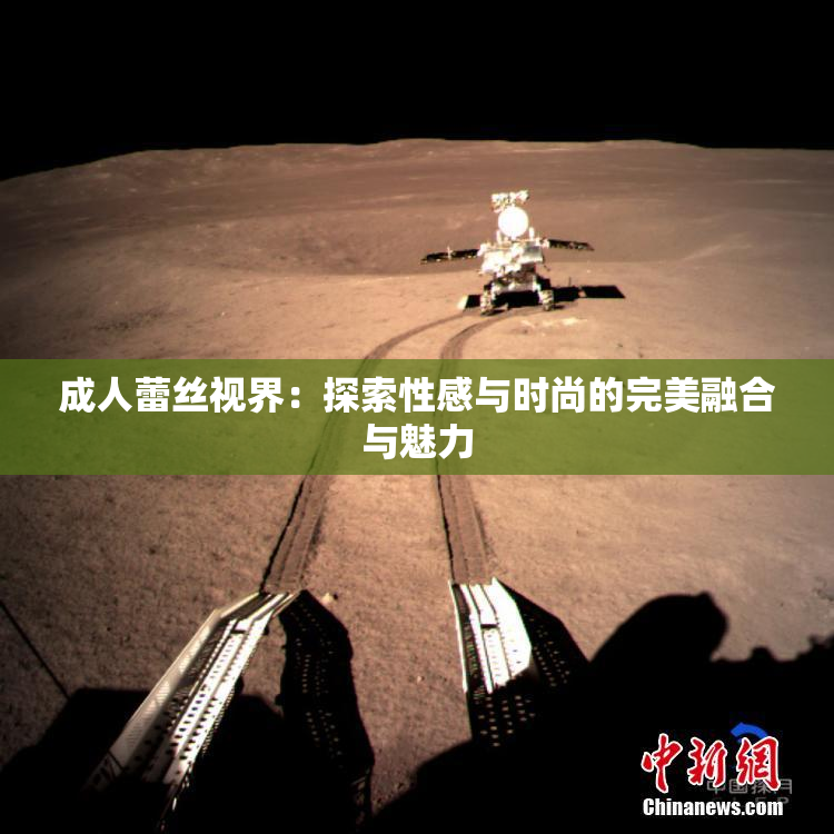 成人蕾丝视界：探索性感与时尚的完美融合与魅力