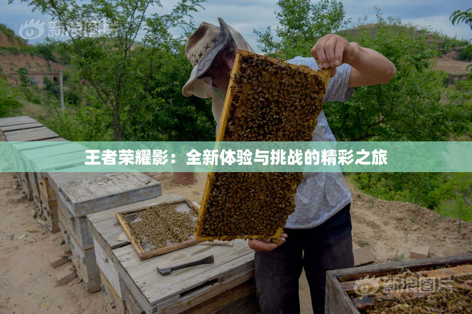 王者荣耀影：全新体验与挑战的精彩之旅