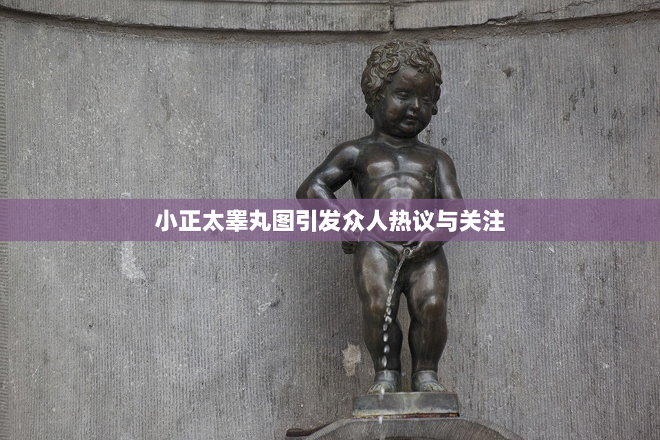 小正太睾丸图引发众人热议与关注