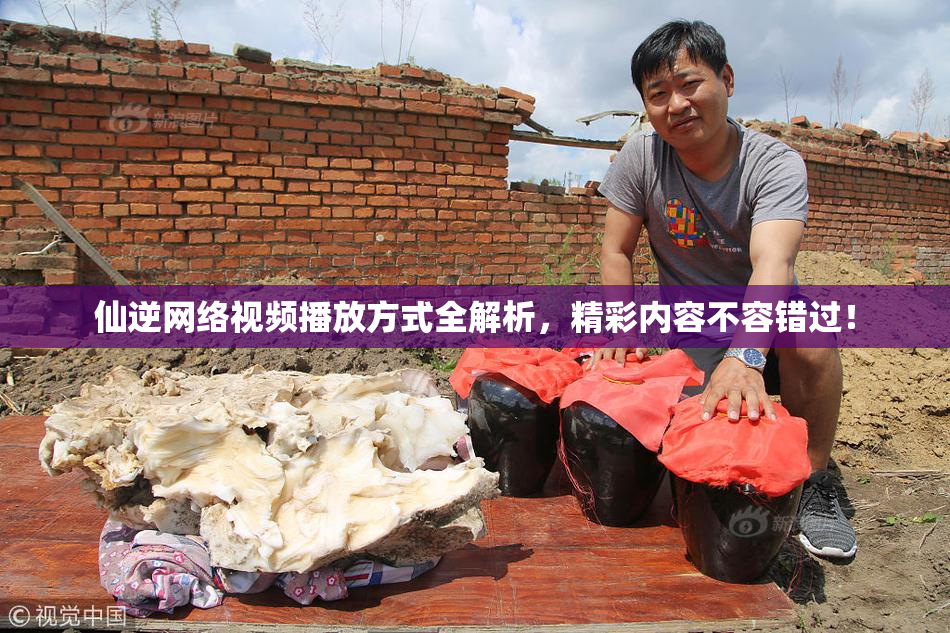 仙逆网络视频播放方式全解析，精彩内容不容错过！