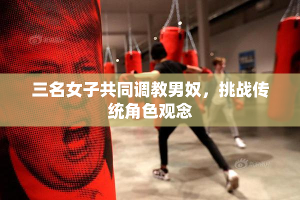 三名女子共同调教男奴，挑战传统角色观念