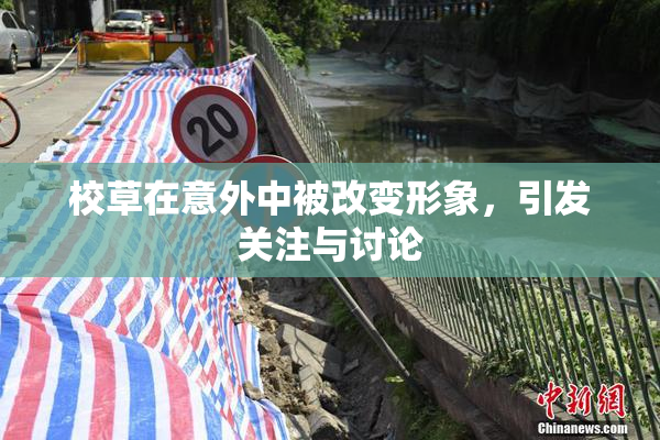校草在意外中被改变形象，引发关注与讨论