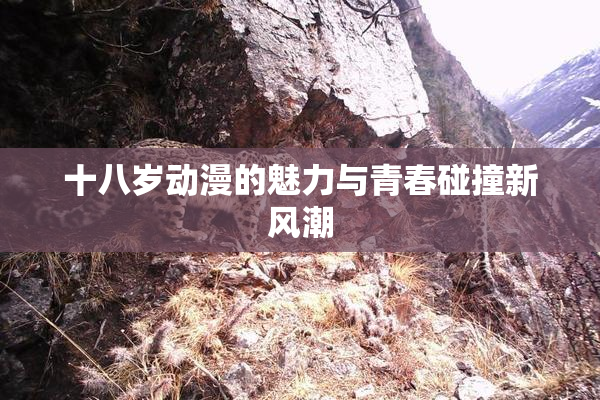 十八岁动漫的魅力与青春碰撞新风潮