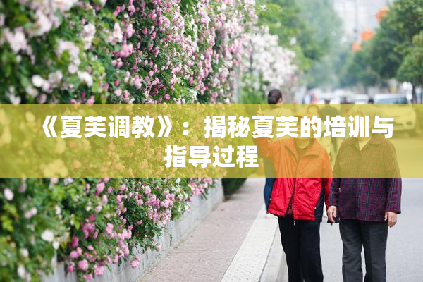 《夏芙调教》：揭秘夏芙的培训与指导过程