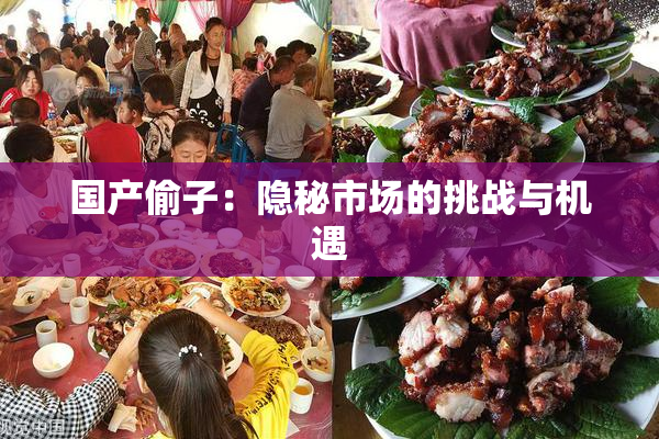 国产偷子：隐秘市场的挑战与机遇