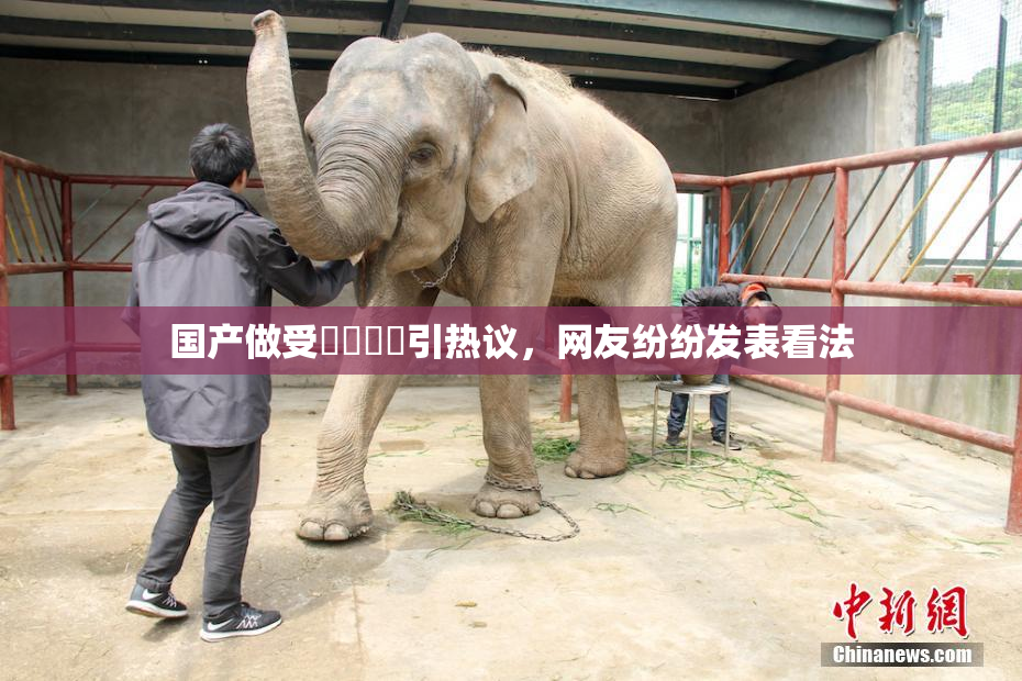 国产做受❌‌❌‌引热议，网友纷纷发表看法